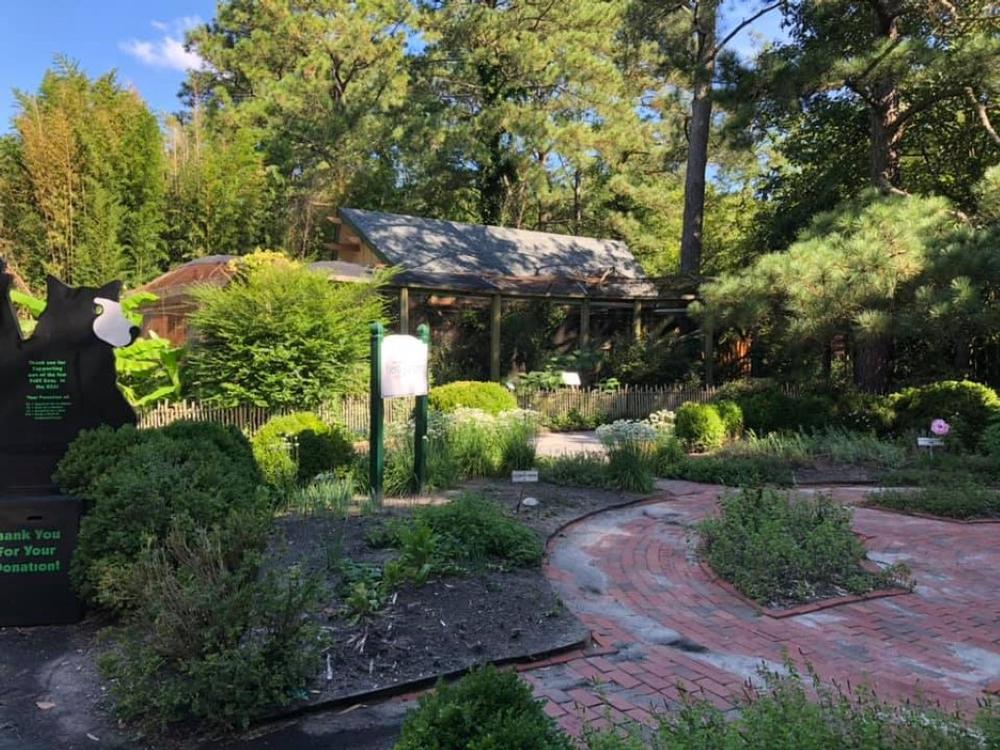Explore Wildlife Without a Ticket at the Free Salisbury Zoo