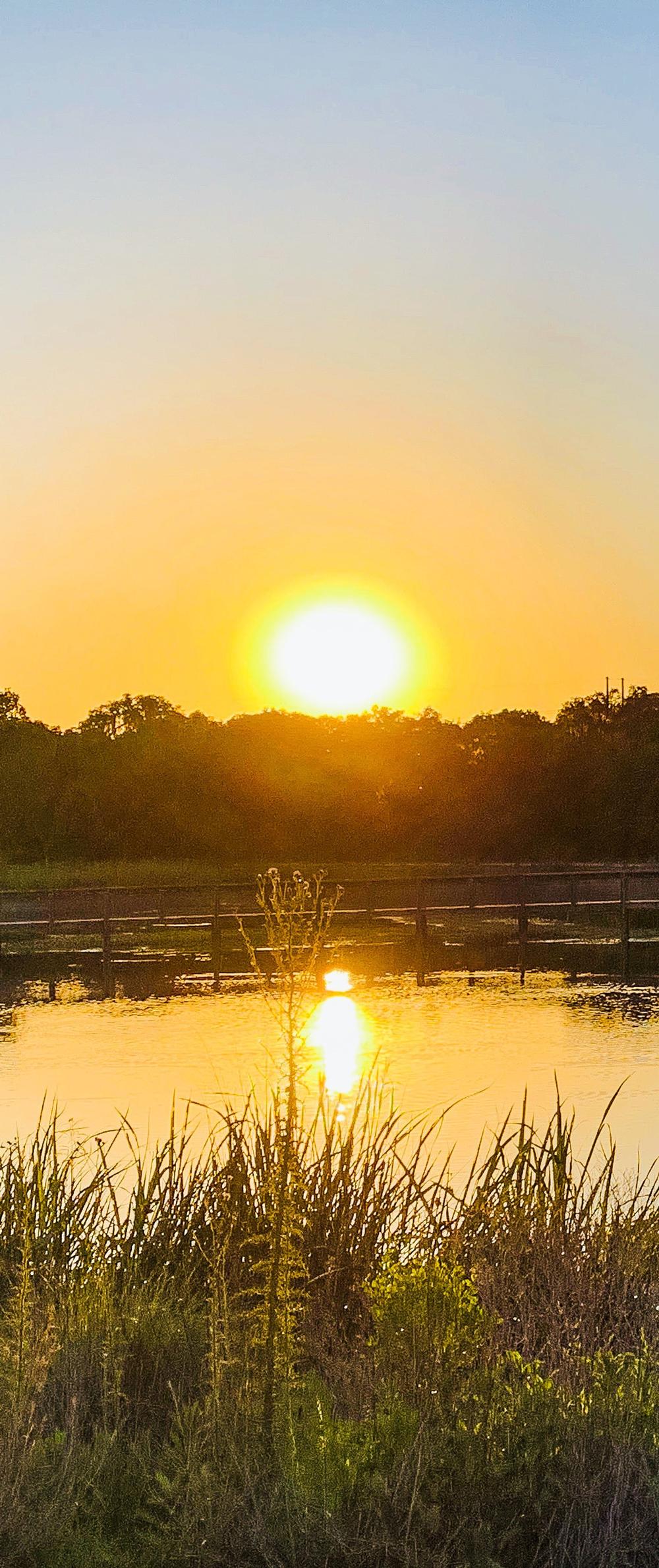 Sweetwater Wetlands Park