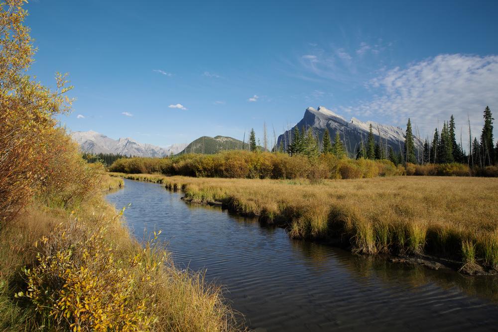 Wood Buffalo National Park | Alberta, Canada: National Parks, Cities & Outdoor Fun