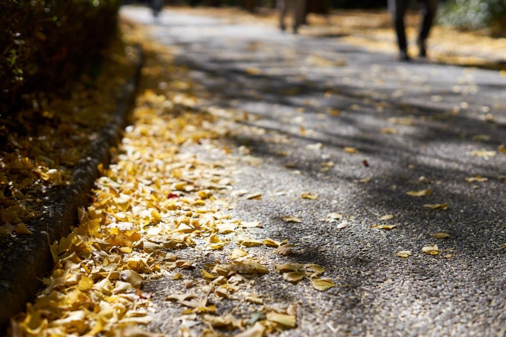 Bike or Hike Scenic Coastal Paths on the Discovery Trail