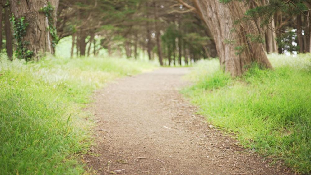 Bike or Hike the Picturesque Kal-Haven Trail Between Town and Countryside