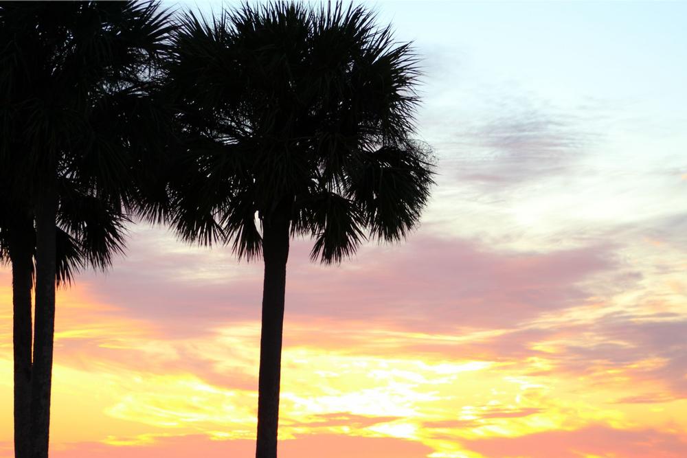 Bike or Walk the Scenic Pinellas Trail Through Dunedin