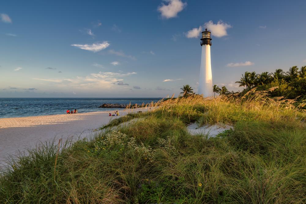 25 Best Things to Do in South Florida