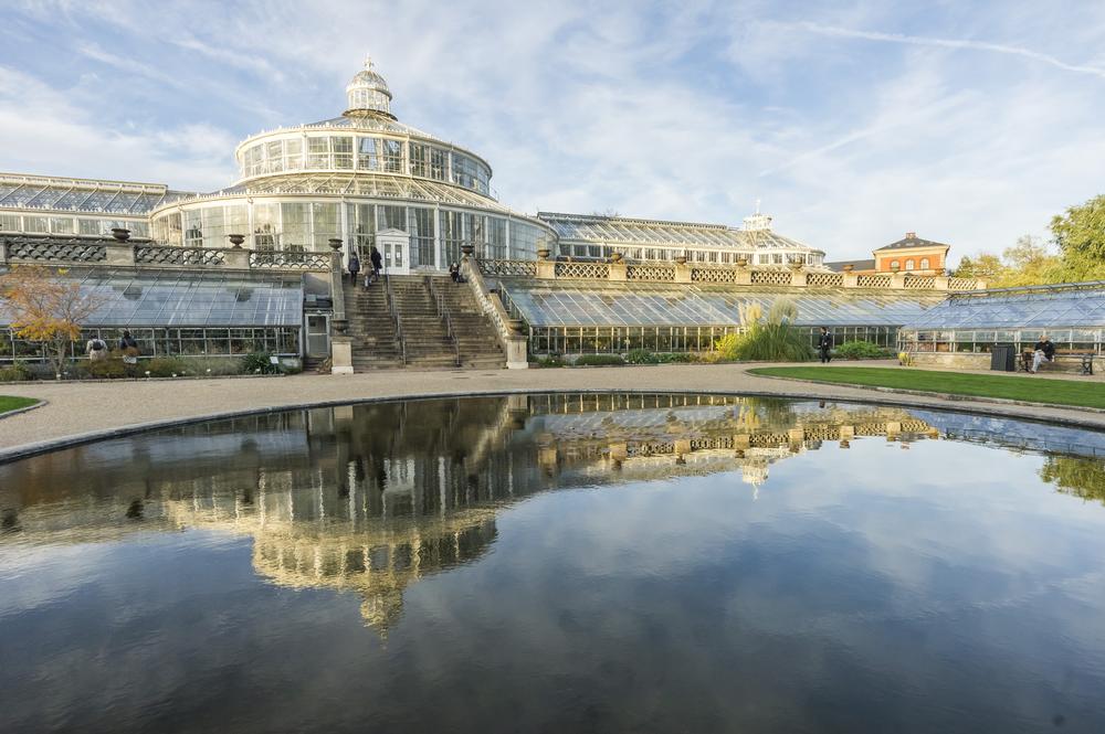 Breathe Deep at the Copenhagen Botanical Garden