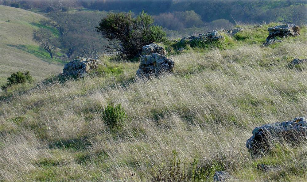 Hike rolling hills and savor scenic views on a weekend outing.