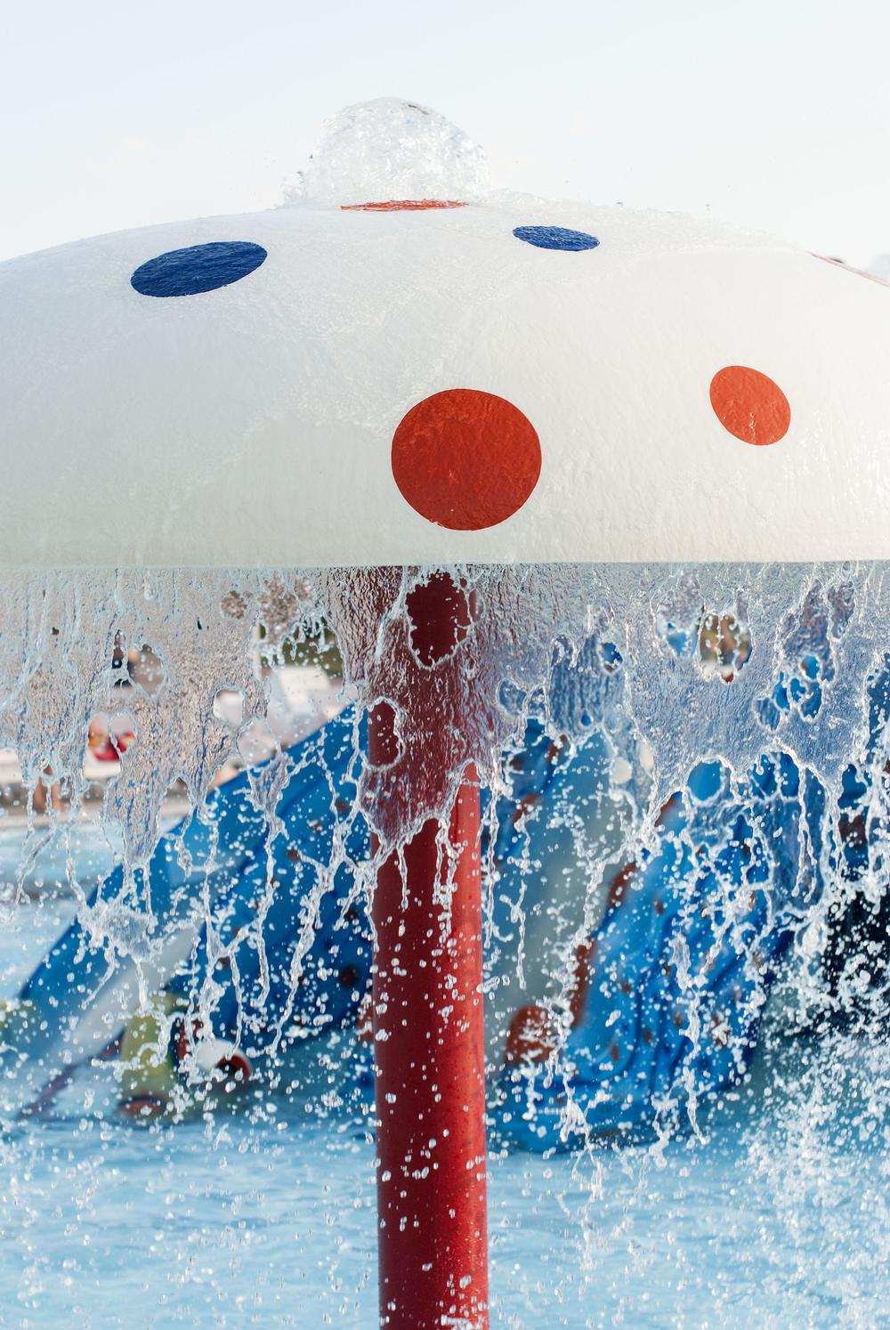 Camp, Bike, and Splash at Quiet Waters Park