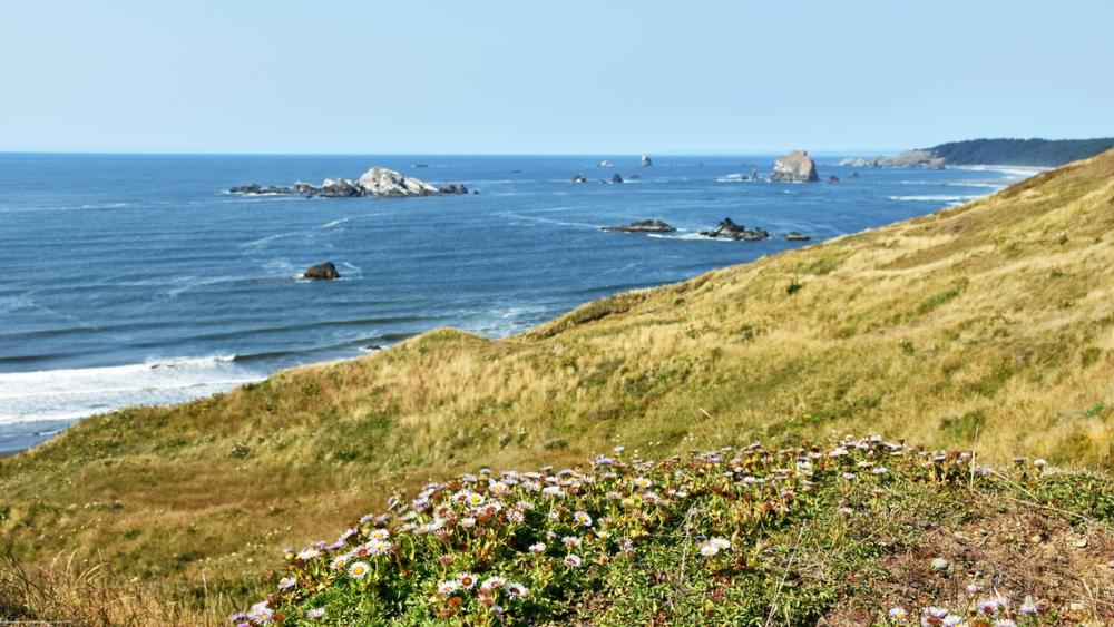 Camp, Hike, and Explore at Cape Blanco State Park