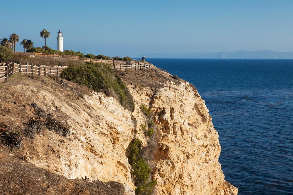 Learn about the Pacific gray whale at The Point Vicente Interpretive Center