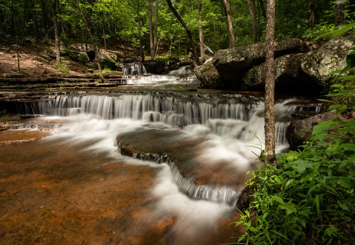 Hike and Fish Along the Scenic Collins Creek Cascade