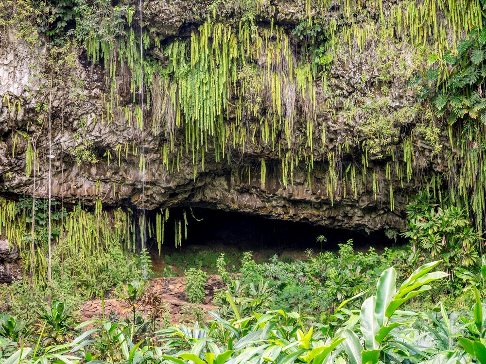 Cruise the Wailua River and Explore the Magical Fern Grotto