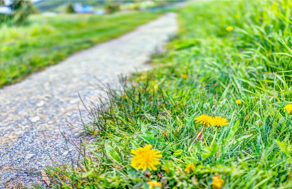 Cycle or Stroll Along the Scenic Snohomish Centennial Trail