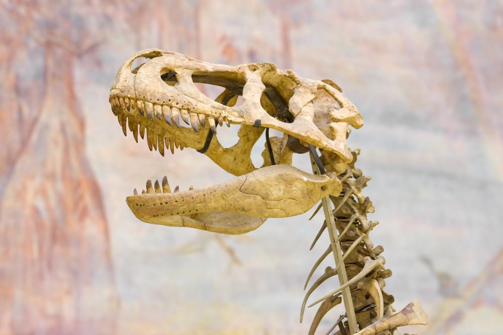 Discover Ancient Earth and Dinos at the New Mexico Museum of Natural History and Science