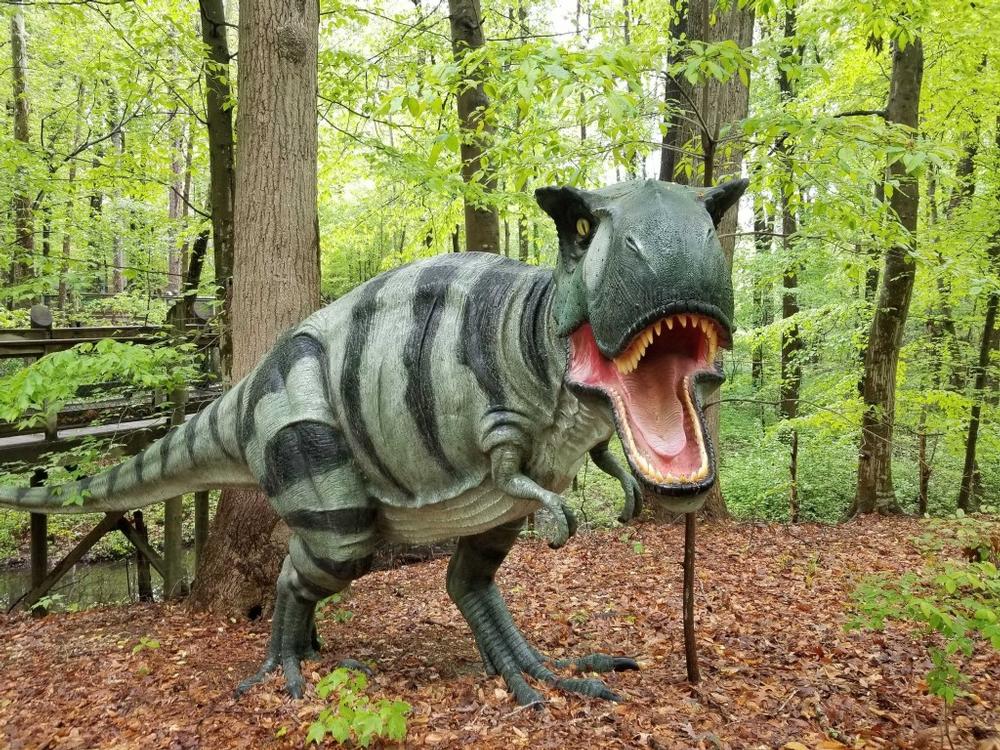 Discover Living Science and Wildlife at the Virginia Living Museum