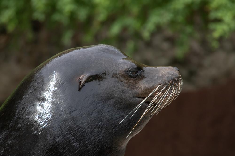 Dive into Discovery at the Center for Marine Studies