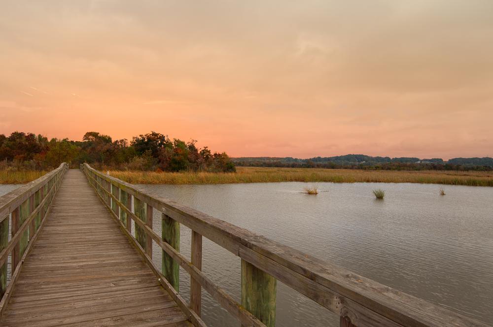 Go fishing or birdwatching and enjoy scenic wetlands during spring.