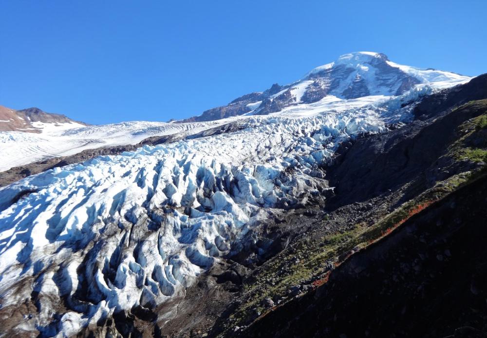 Hike to glacier views and admire dramatic sights on a summer day trip.