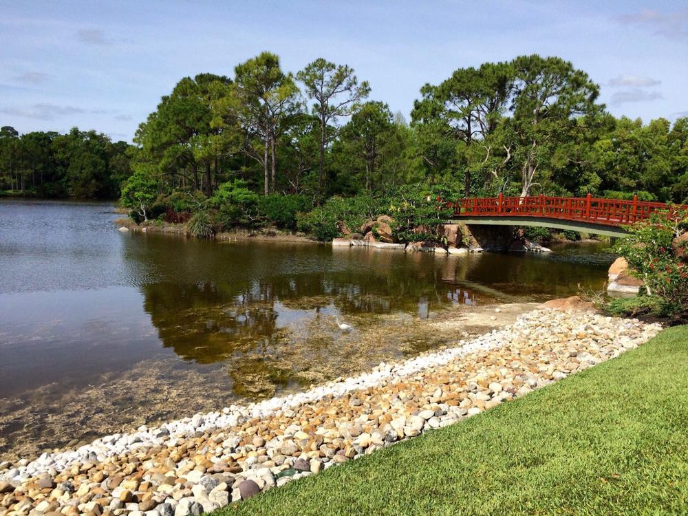 Go for a Stroll at Morikami Museum & Japanese Gardens