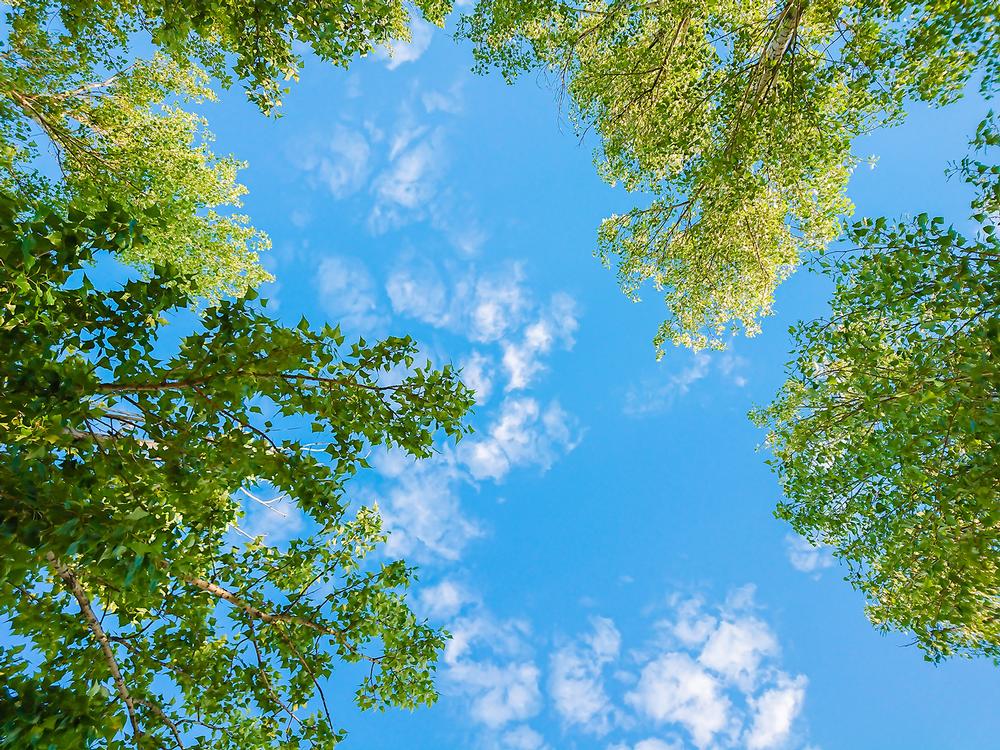 Hike, Bike, and Explore Nature at Spring Creek Greenway