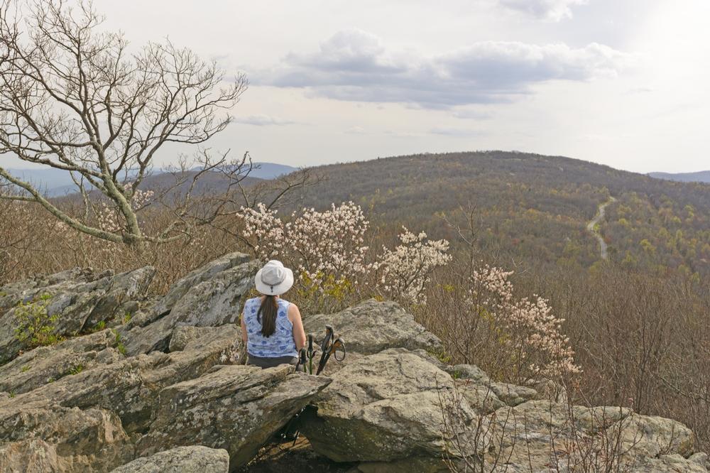 Hike and Picnic with Scenic Views at Rocky Knob Recreation Area