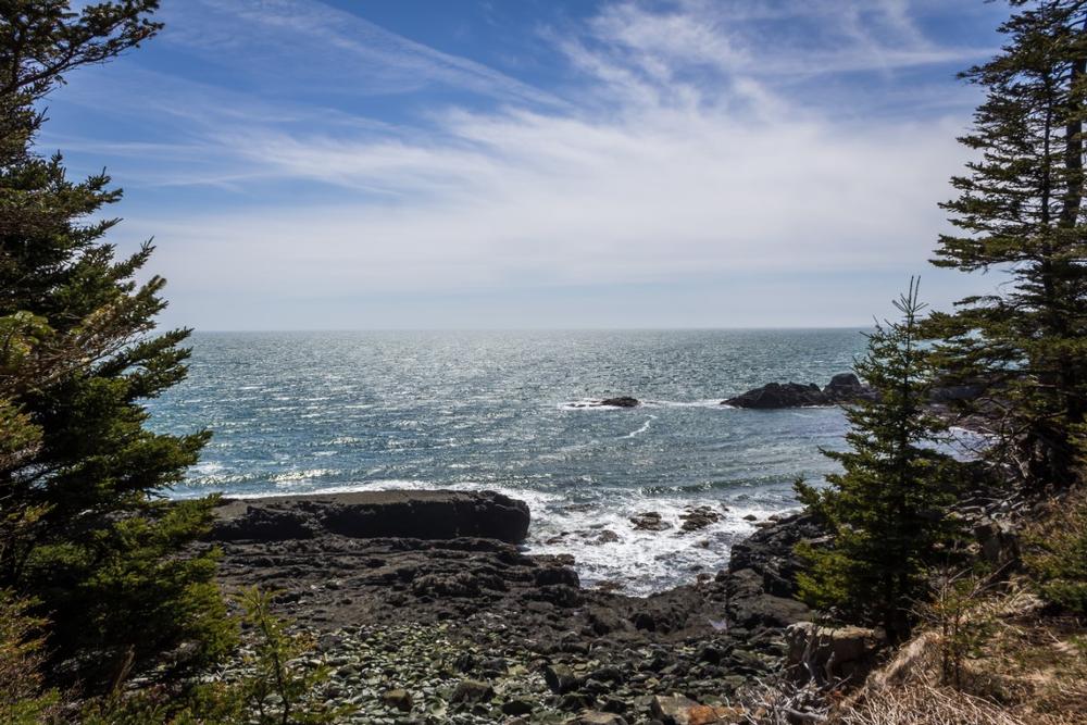 Hike Rugged Coastal Trails at Quoddy Head State Park