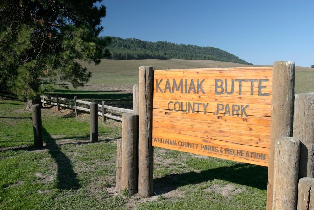 Hike to Panoramic Views at Kamiak Butte County Park