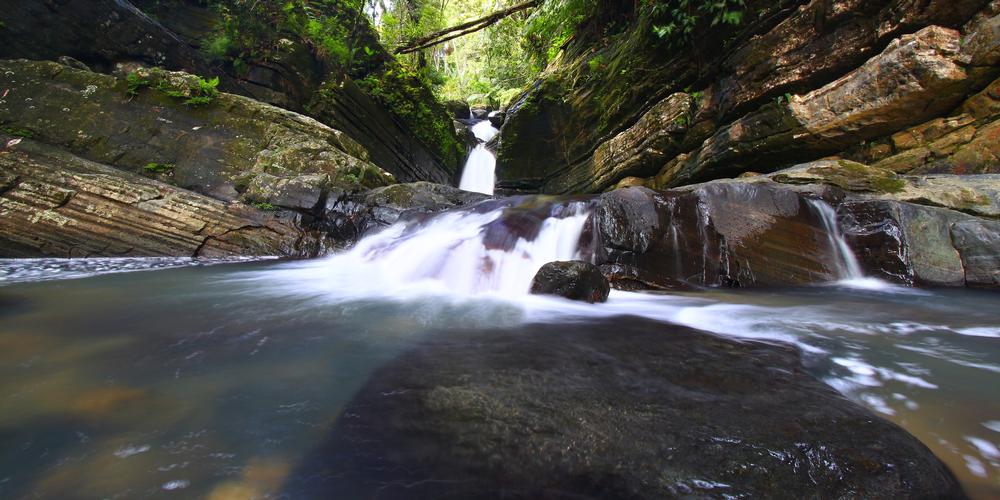 Hike Waterfalls and Lush Trails in El Yunque Rain Forest