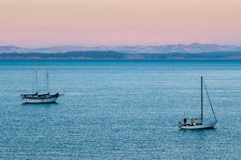 If You Crave Outdoor Adventures, Hike Through China Camp State Park