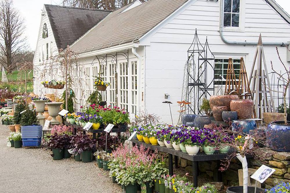 If You Love Gardening or Gorgeous Blooms, Stroll Through White Flower Farm