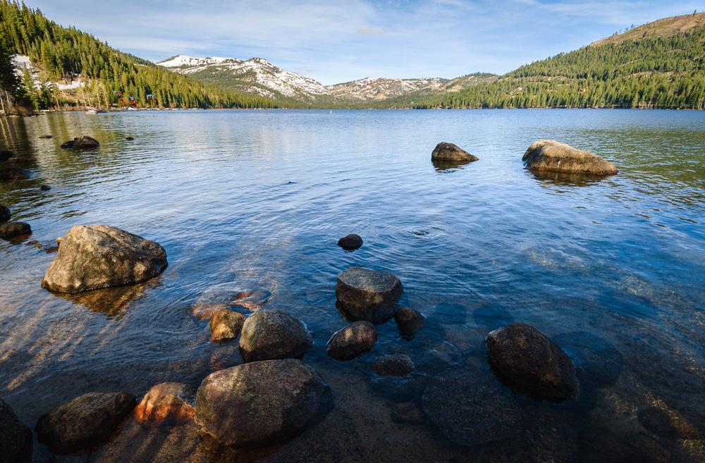If You Love History and Nature, Join a Walk at Donner Memorial State Park