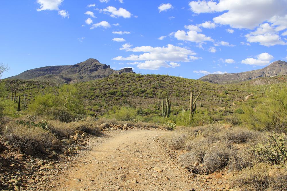 If You’re Ready for Scenic Adventures, Hike Spur Cross Ranch Trail