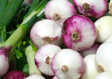 Lake Oswego Farmers' Market, Lake Oswego, OR