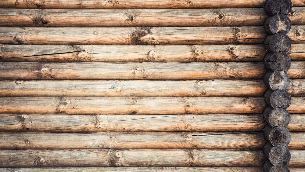 Relax and Recreate at Borst Park
