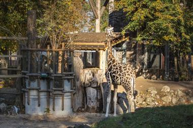 Riga Zoo