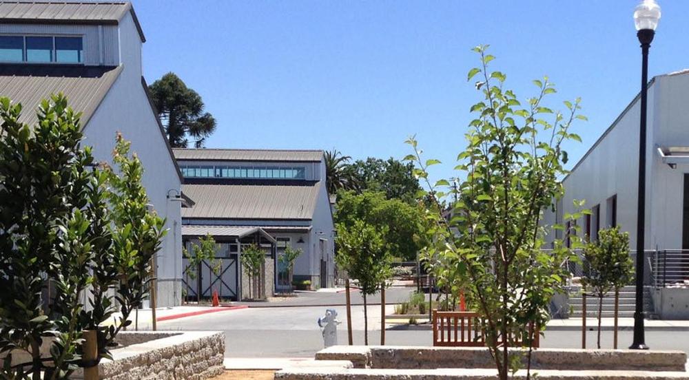 Shop, Sip, and Savor Local Flavors at The Barlow