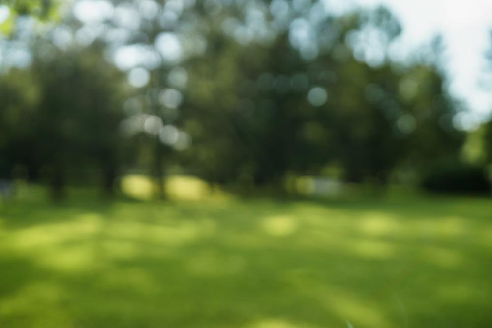 Walk wooded trails and enjoy a peaceful family-friendly day outdoors.