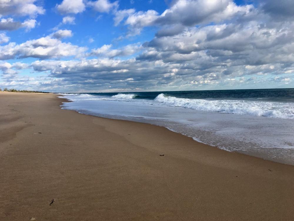 Soak Up Sun and Surf at East Beach