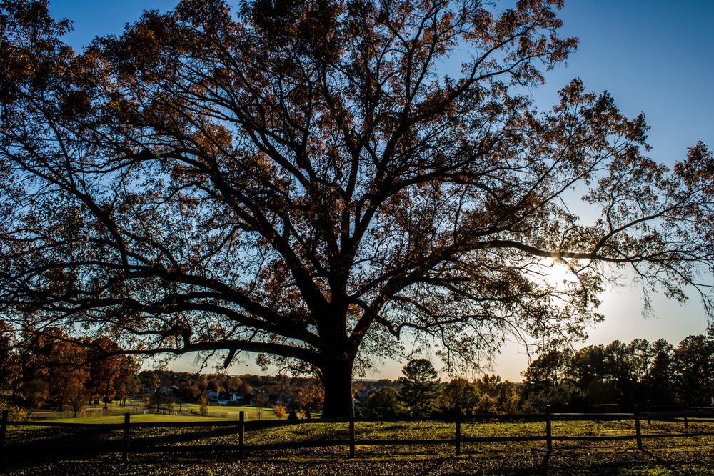 Stretch Out and Unwind at Dublin Memorial Park
