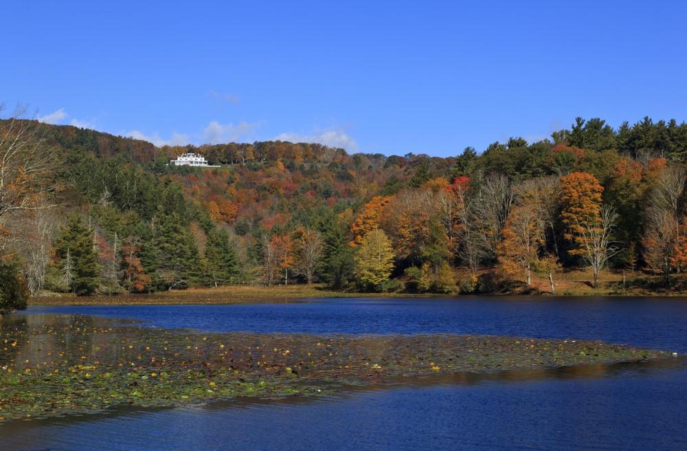 Stroll Carriage Trails and Meadows at Moses H. Cone Memorial Park