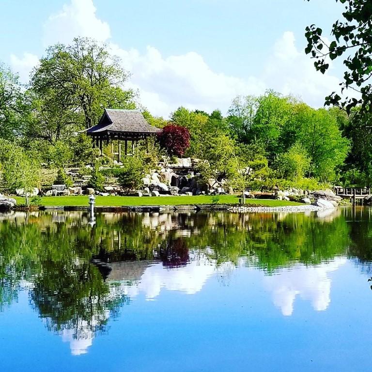 Stroll Through Beautiful, Water-Themed Gardens at Wellfield Botanic Gardens