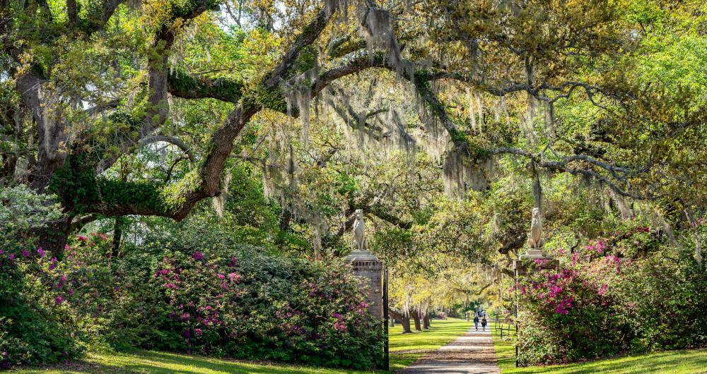 Stroll Through Brookgreen Gardens, Murrells Inlet, SC