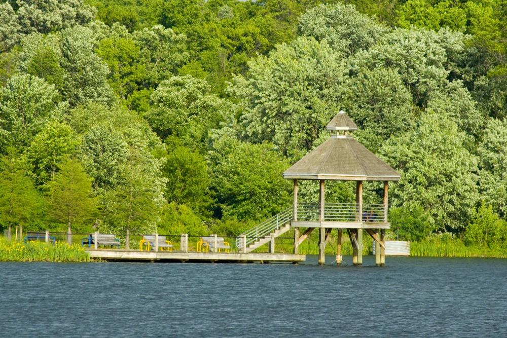 Stroll Through Lakeside Beauty at Lake Artemesia Natural Area