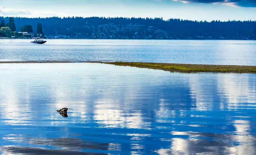 Swim, Paddle, and Play at Lake Sammamish State Park