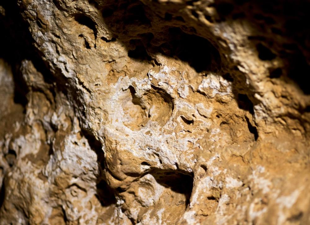 Take a Guided Journey Through History at Cascade Caverns