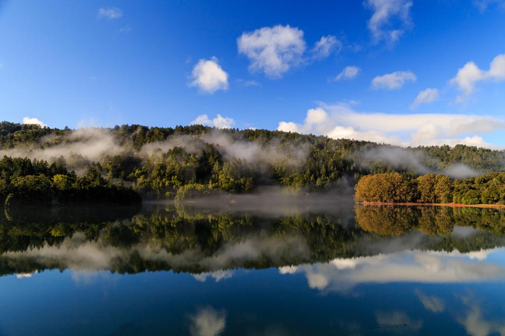 Take in Serene Views at Crystal Springs Reservoir
