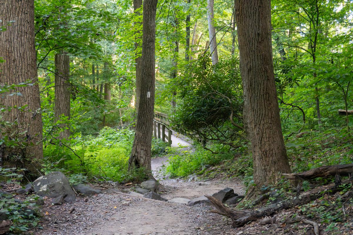 Visit the Appalachian Trail Conservancy Visitor Center