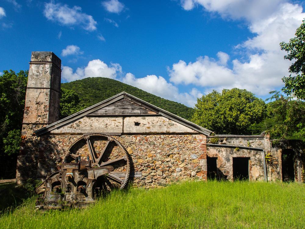 Wander Through Virgin Islands National Park