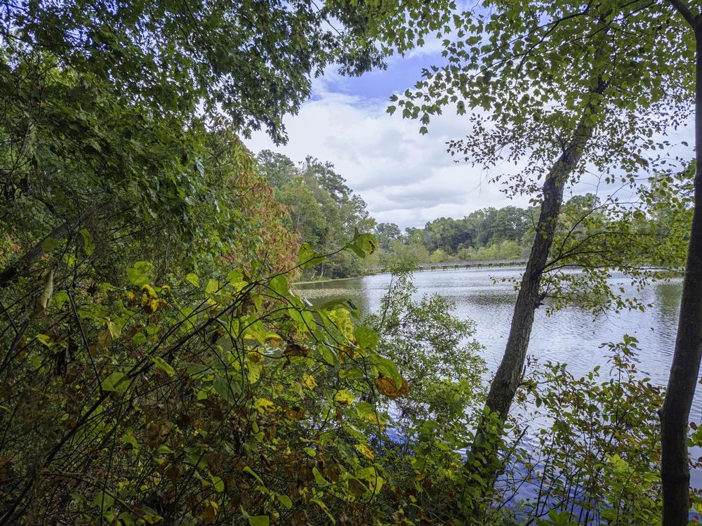 Hike, Birdwatch, or Paddle Through Tranquility at Latham-Whitehurst Nature Park