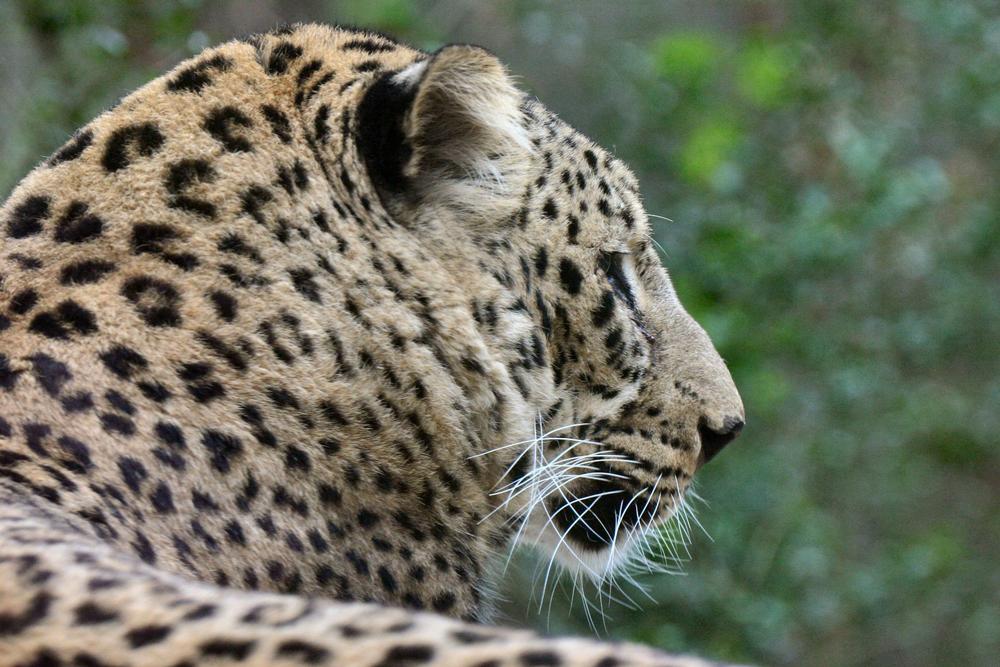 Visit exotic animals and enjoy hands-on exhibits with the kids.