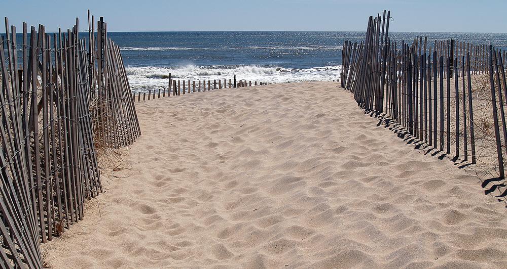 Beach, Bike, and Camp at Hither Hills State Park