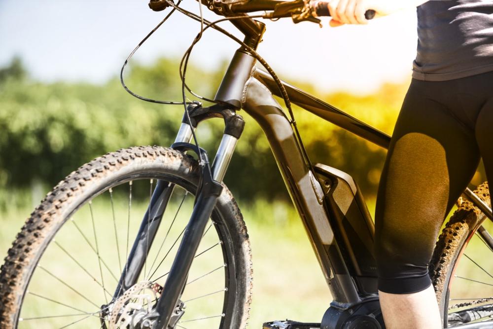 Bike, Hike, and Explore Scenic Trails Along the Tammany Trace